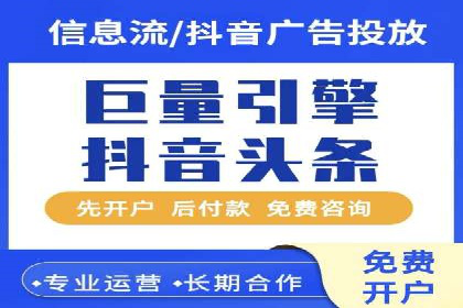 某某SEM团队成功案例：广告投放策略揭秘